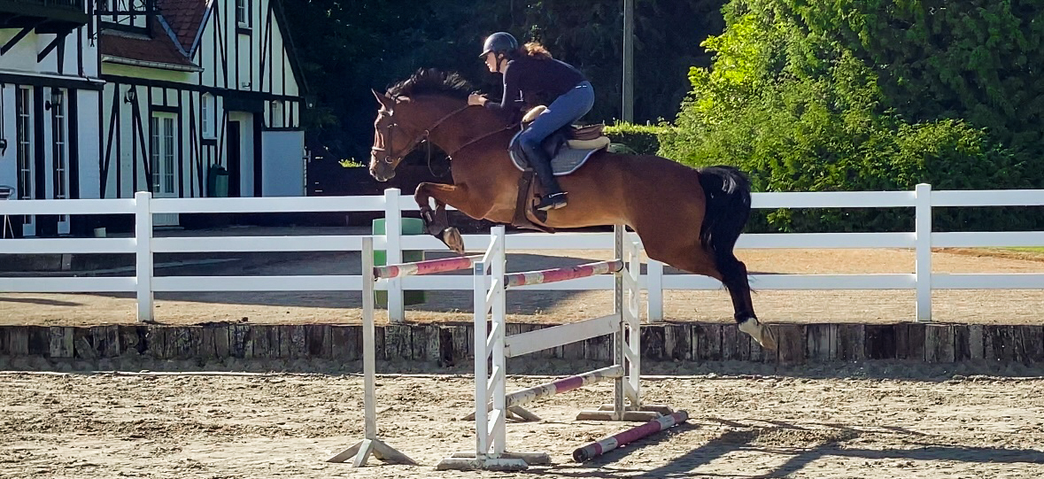 Cavalier lors d'un concours au Royal Country Club